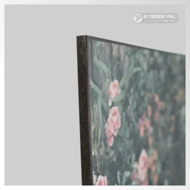 Ảnh phóng High Quality Ép Gỗ In Lụa