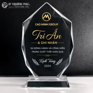 Kỷ niệm chương PL011