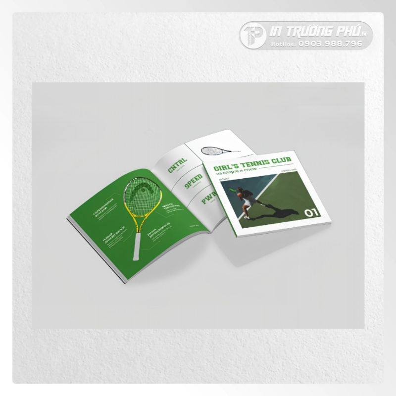 Catalogue giấy mỹ thuật
