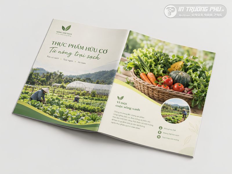 catalogue thực phẩm