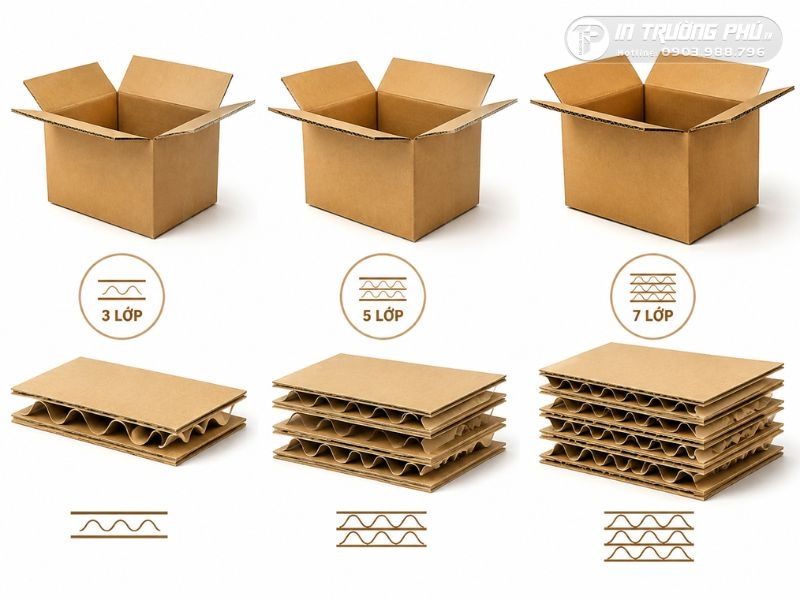 in hộp carton cao cấp