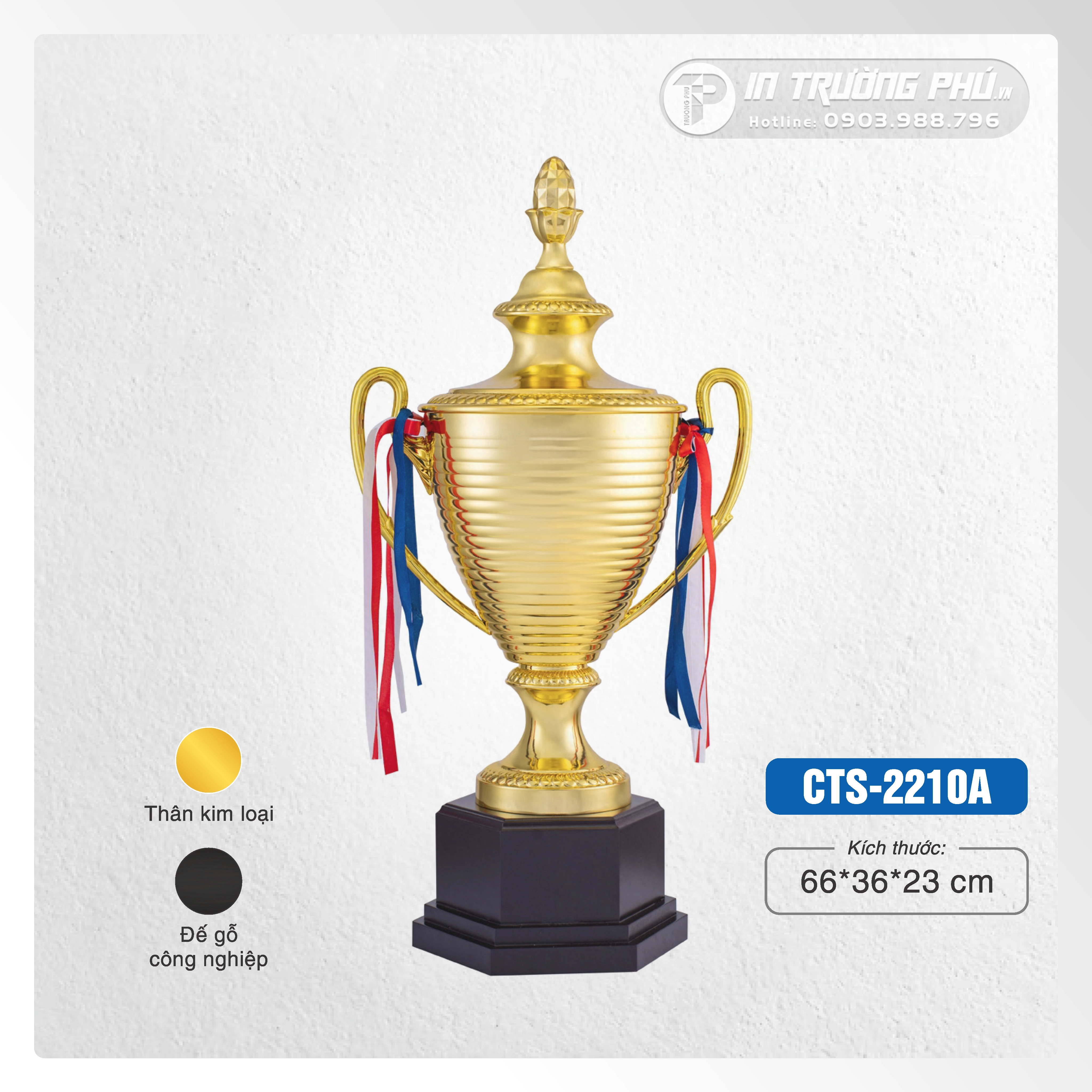 Cúp thể thao - CTS-2210A / CTS-2210B / CTS-2210C
