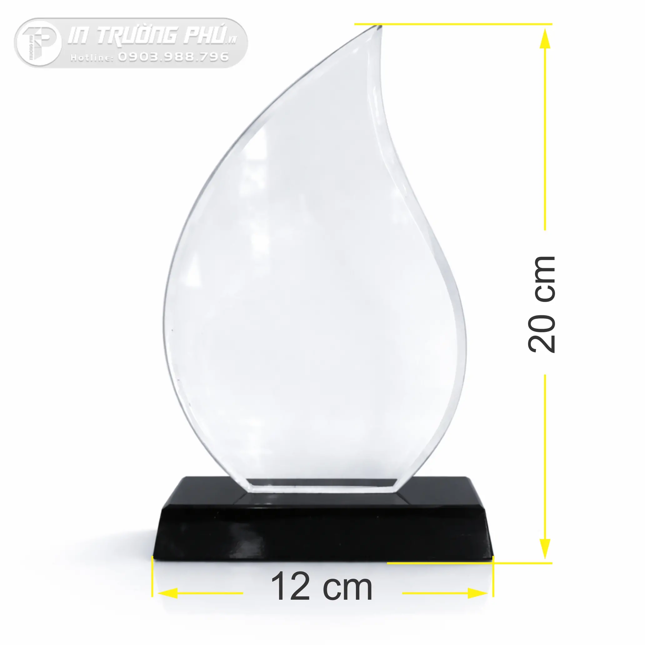 Kỷ Niệm Chương - IN TRƯỜNG PH&Uacute;