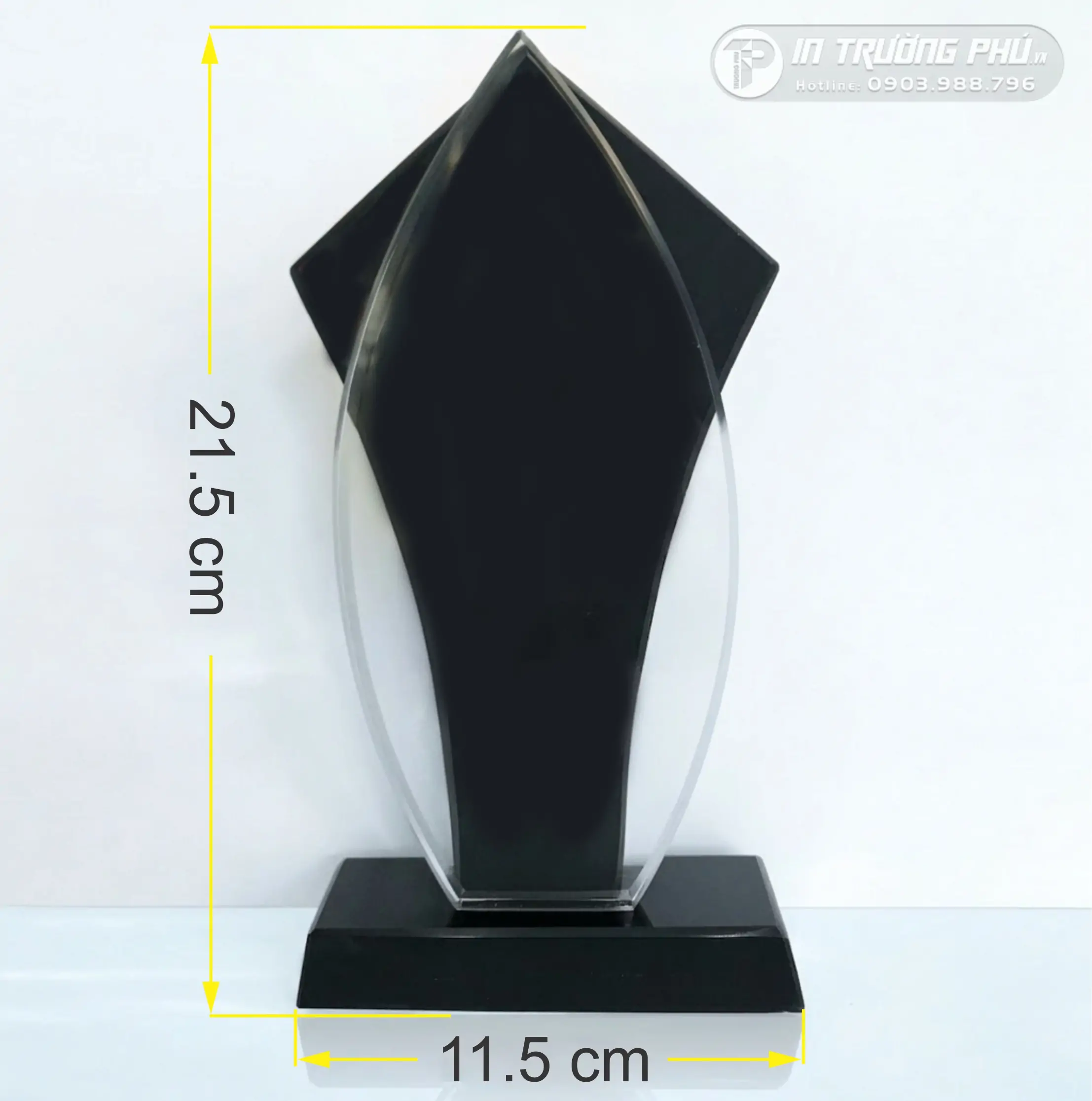 Kỷ Niệm Chương - IN TRƯỜNG PH&Uacute;