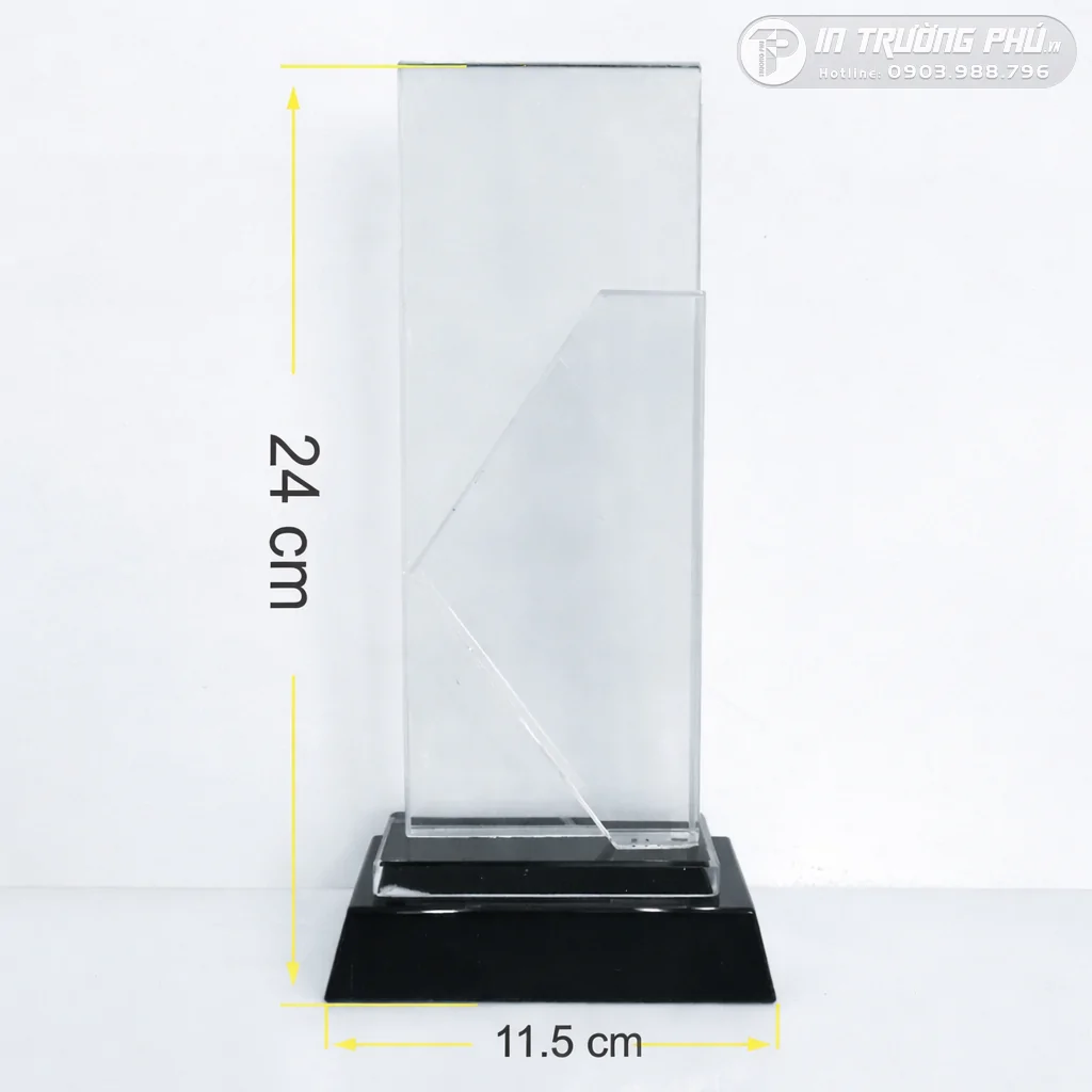 Kỷ Niệm Chương - IN TRƯỜNG PH&Uacute;