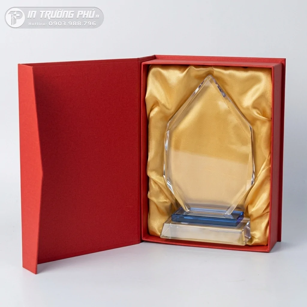 Kỷ Niệm Chương - IN TRƯỜNG PH&Uacute;