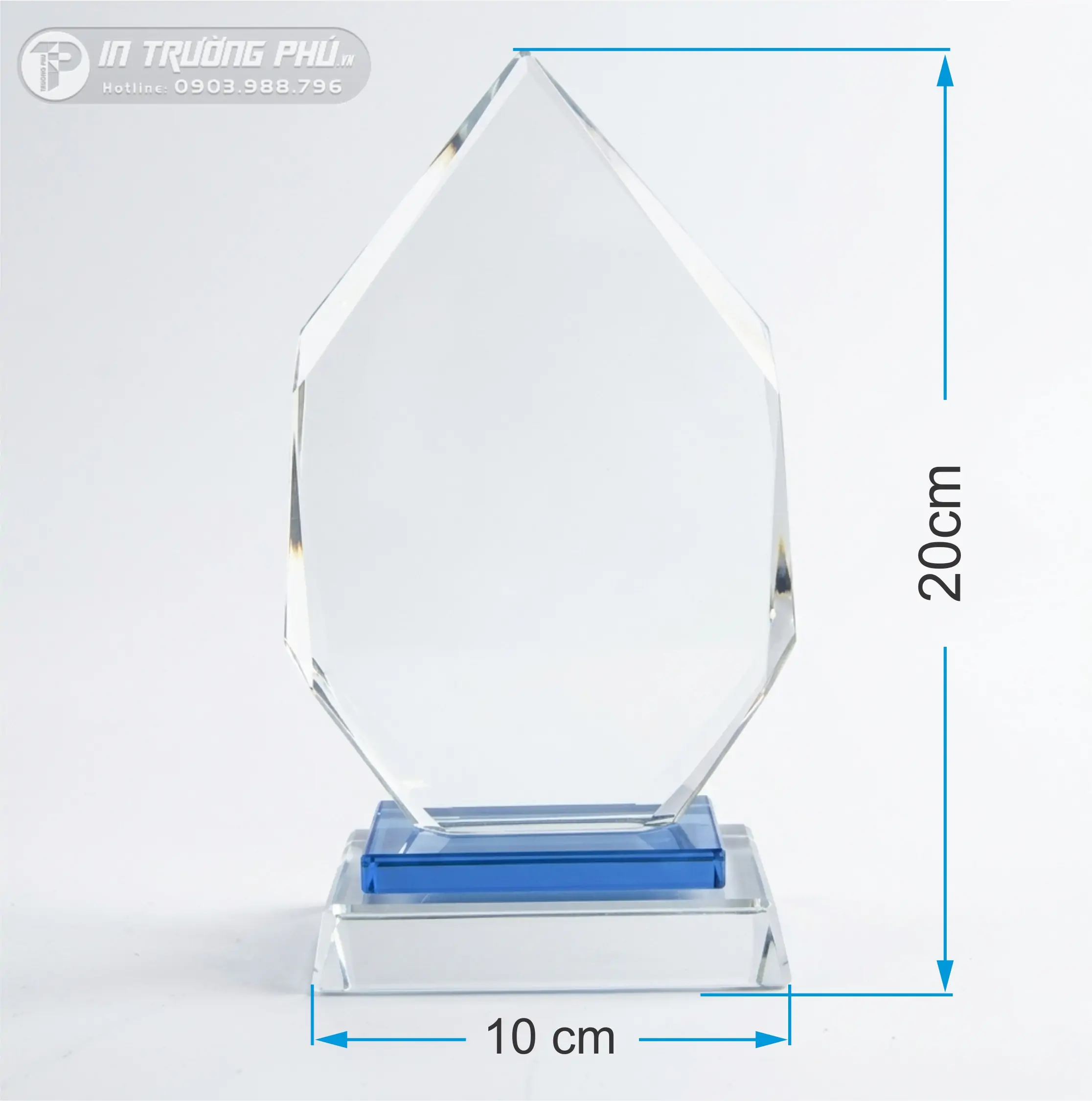 Kỷ Niệm Chương - IN TRƯỜNG PH&Uacute;