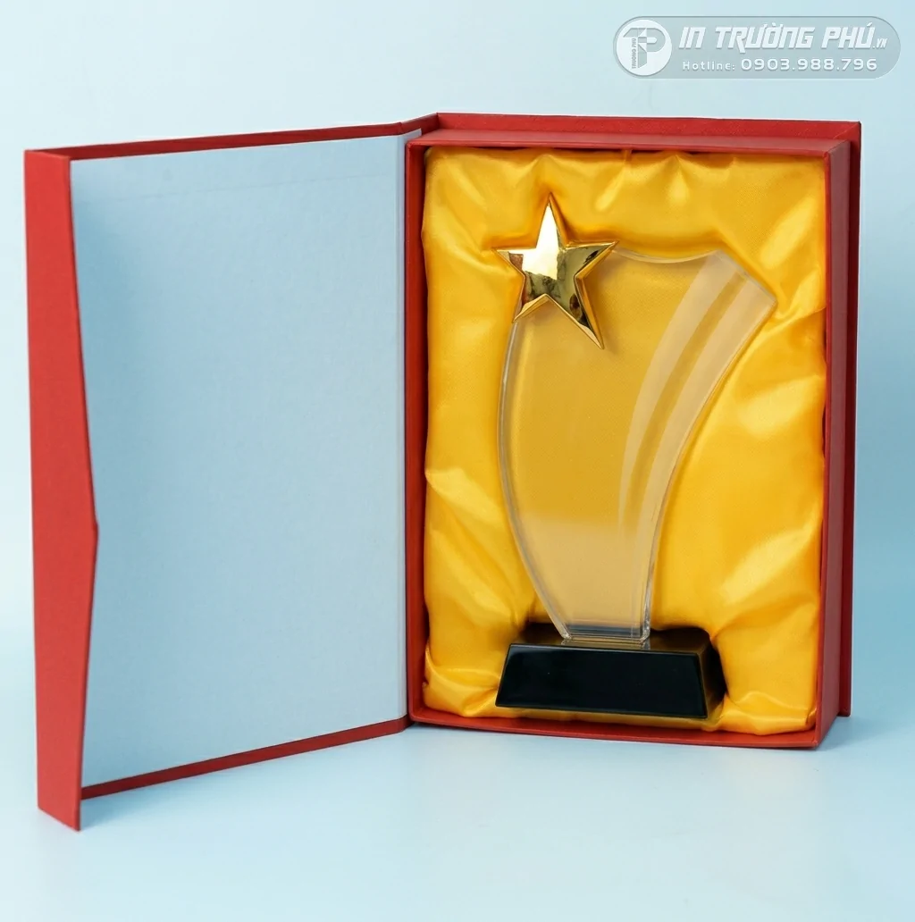 Kỷ Niệm Chương - IN TRƯỜNG PH&Uacute;