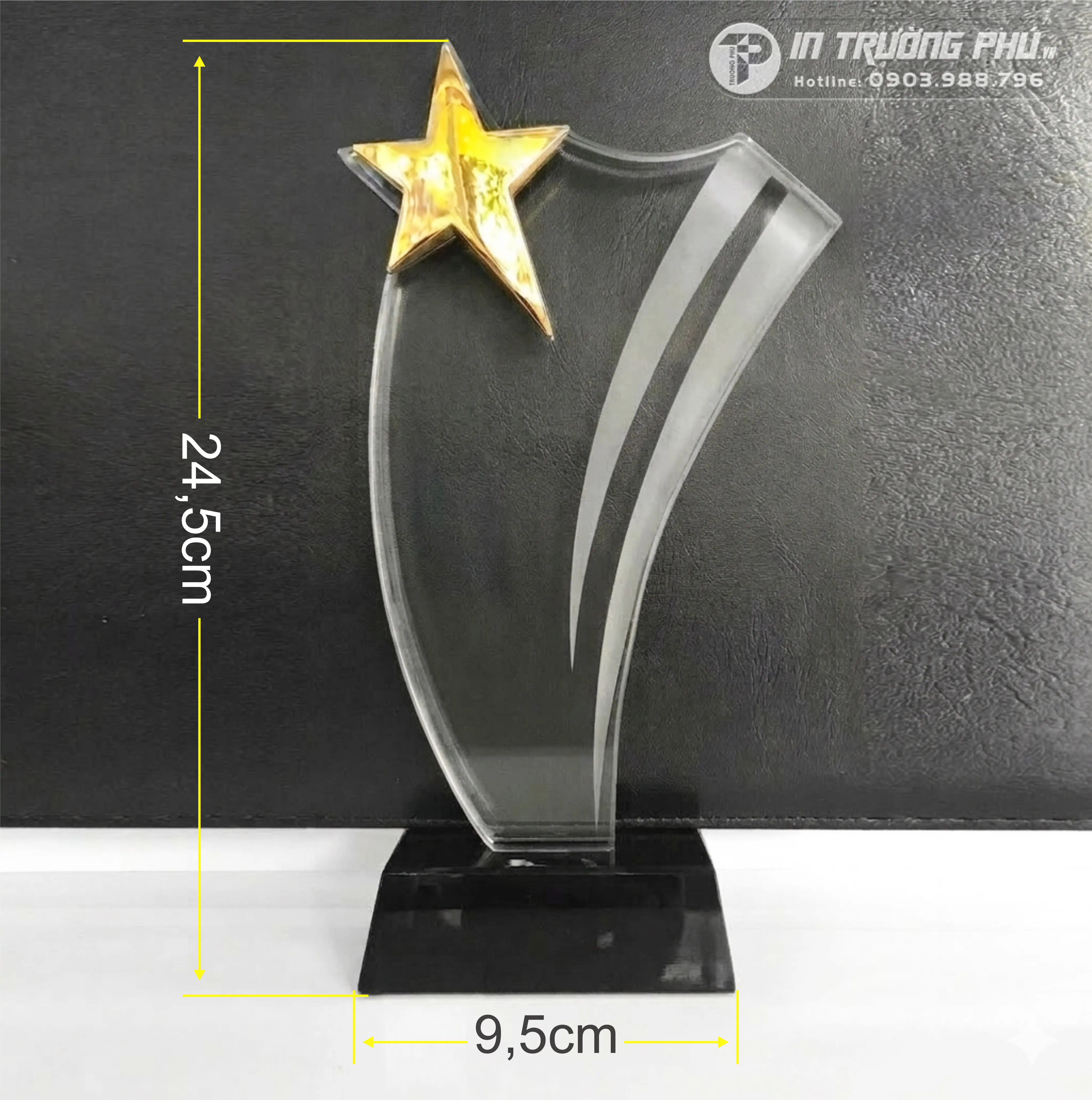 Kỷ Niệm Chương - IN TRƯỜNG PH&Uacute;