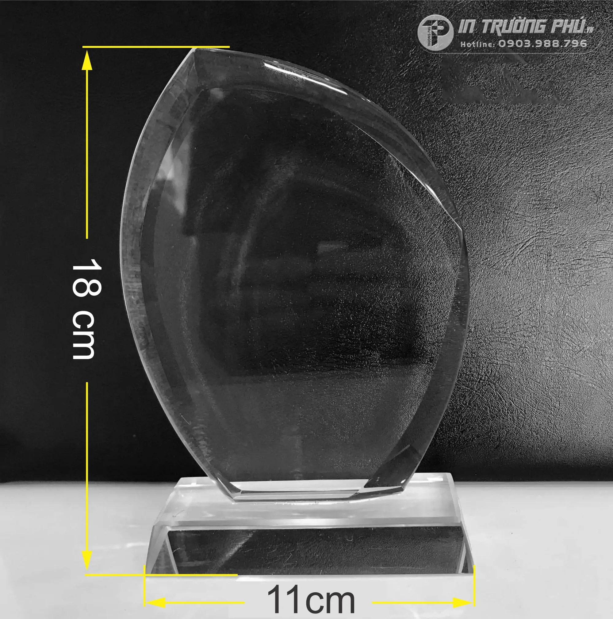 Kỷ Niệm Chương - IN TRƯỜNG PH&Uacute;