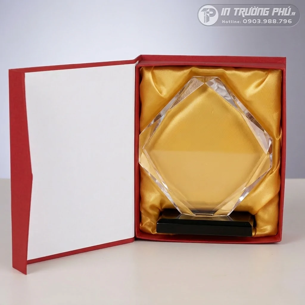 Kỷ Niệm Chương - IN TRƯỜNG PH&Uacute;