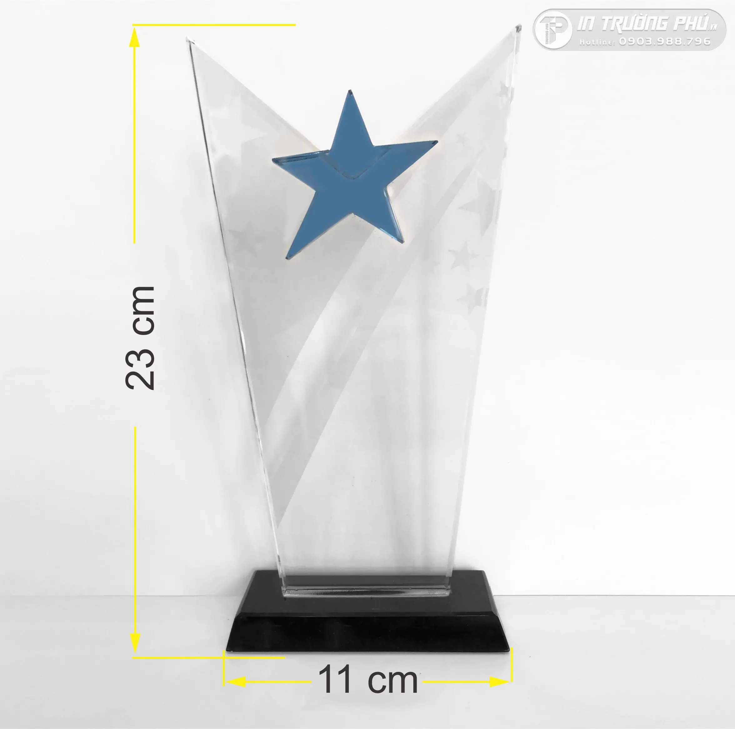 Kỷ Niệm Chương - IN TRƯỜNG PH&Uacute;