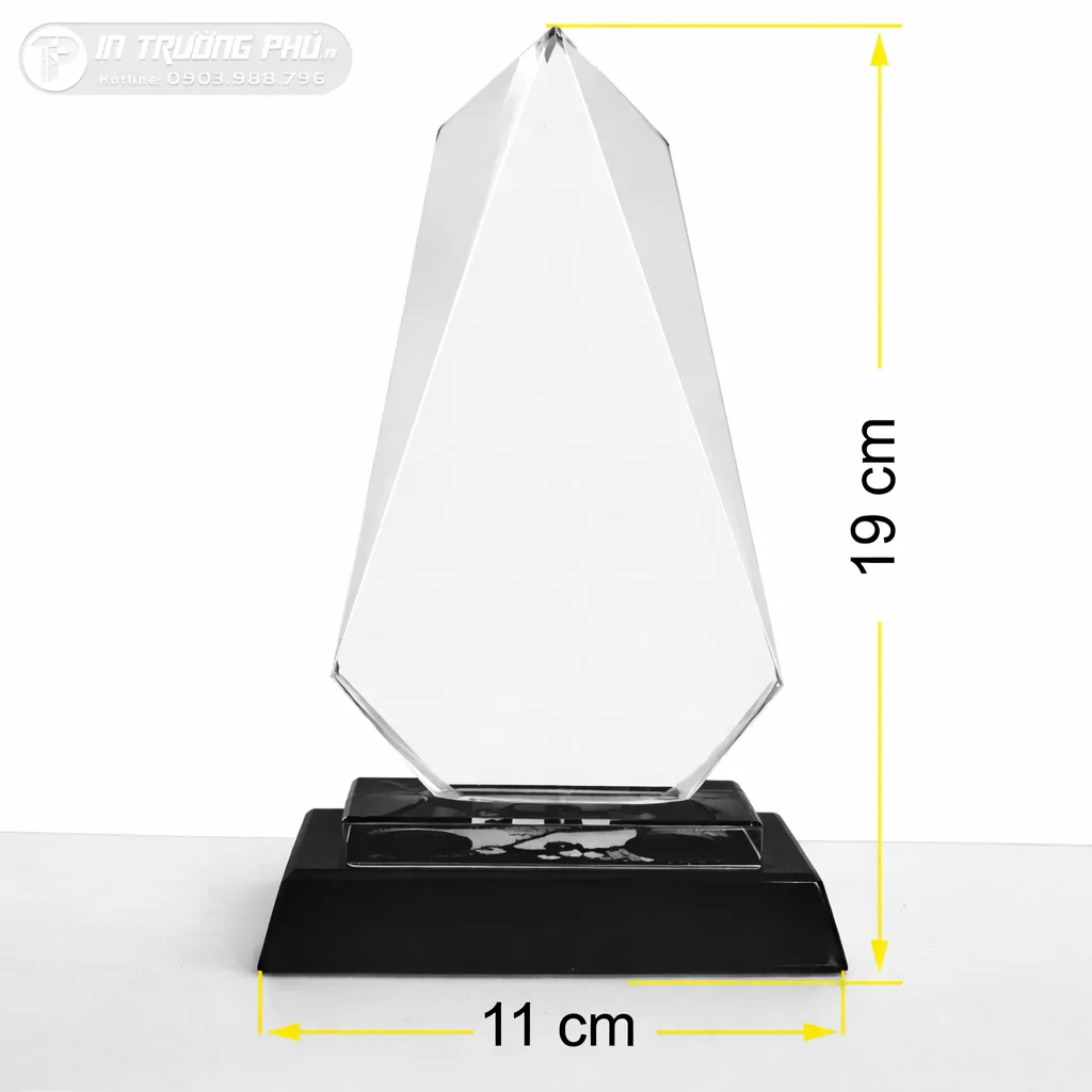 Kỷ Niệm Chương - IN TRƯỜNG PH&Uacute;