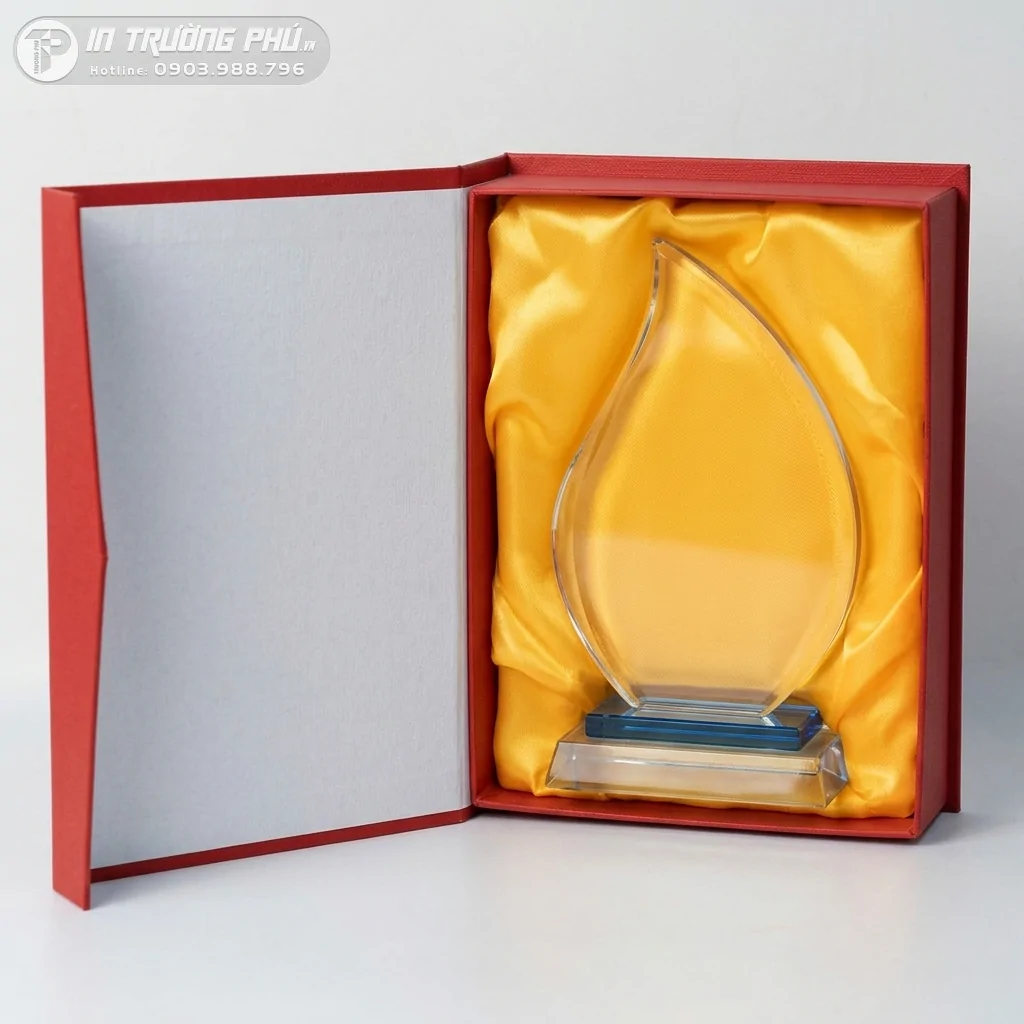 Kỷ Niệm Chương - IN TRƯỜNG PH&Uacute;