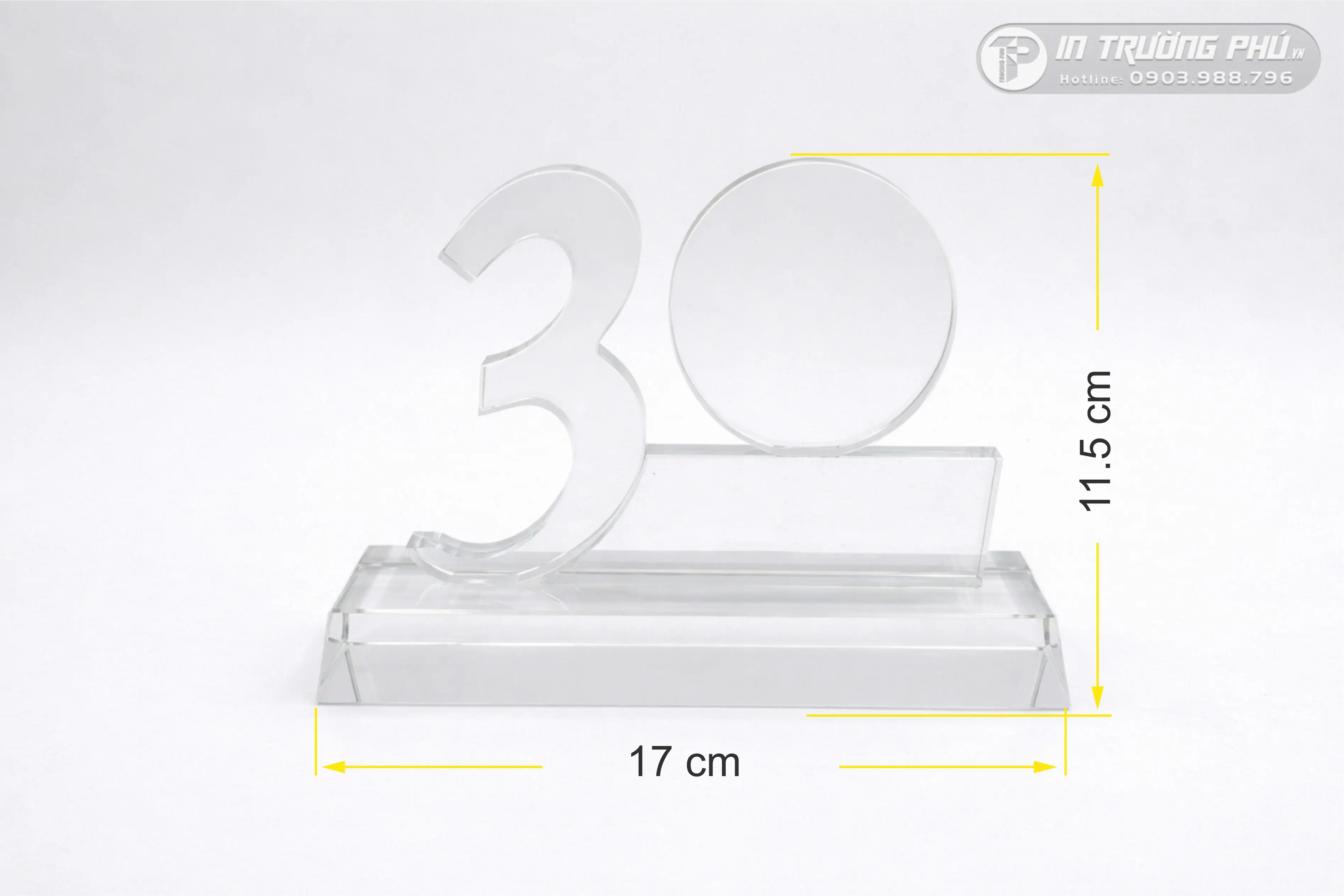 Kỷ Niệm Chương - IN TRƯỜNG PH&Uacute;