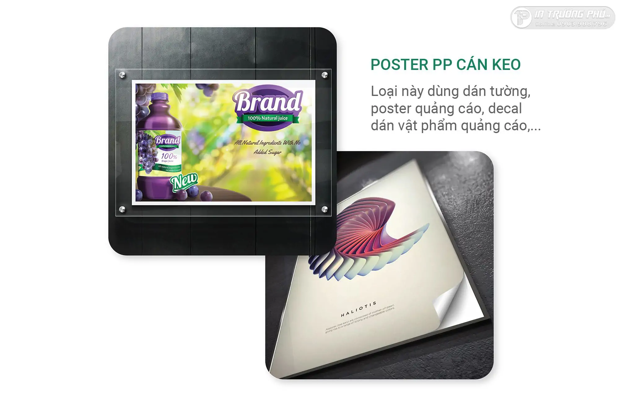Poster chất liệu PP