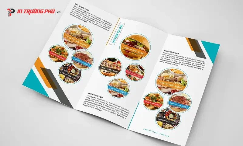 thiết kế brochure gấp 3 đ&uacute;ng bố cục