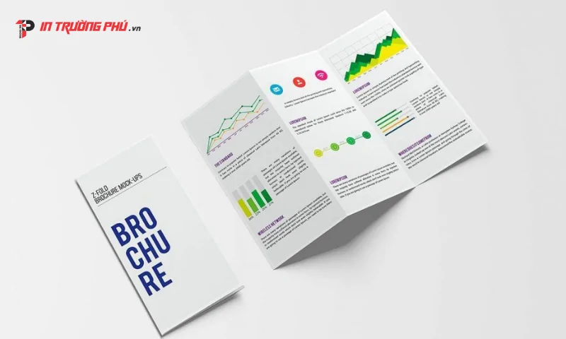 thiết kế brochure gấp 3 đ&uacute;ng bố cục