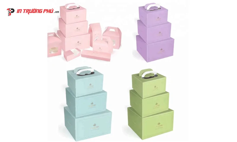 hộp giấy ivory v&agrave; duplex kh&aacute;c nhau g&igrave;