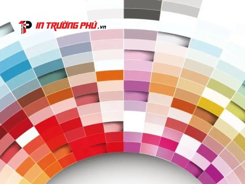 Chọn hệ m&agrave;u in cho c&aacute;c y&ecirc;u cầu đặc biệt như m&agrave;u nhũ v&agrave; m&agrave;u pantone