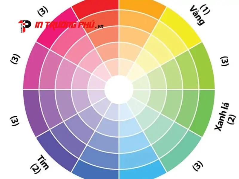 Hệ m&agrave;u Pantone (PMS): Sự ch&iacute;nh x&aacute;c tuyệt đối