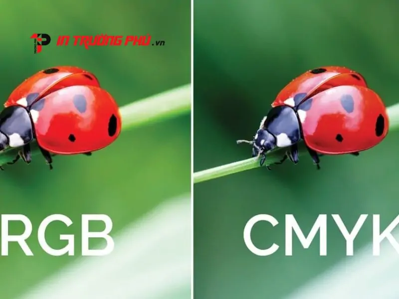 Hệ m&agrave;u RGB l&agrave; g&igrave; v&agrave; ứng dụng thực tế