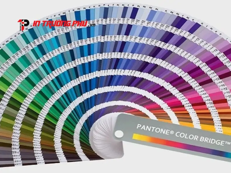 Ưu điểm vượt trội khi sử dụng m&agrave;u Pantone