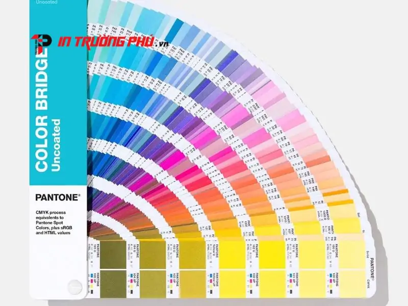 Sự kh&aacute;c biệt giữa m&agrave;u Pantone v&agrave; m&agrave;u CMYK