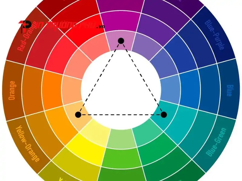 Cấu tạo v&agrave; đặc điểm của hệ m&agrave;u Pantone trong sản xuất