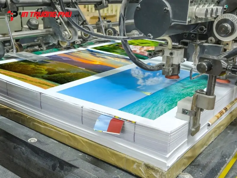 checklist thiết kế bao b&igrave; đạt chuẩn in offset